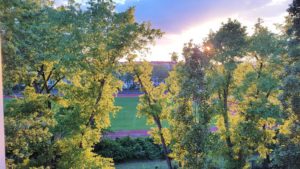 Ausblick